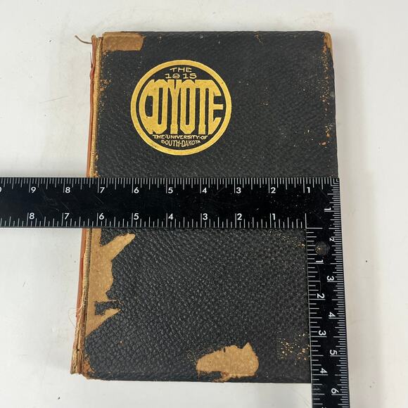 1915 University South Dakota Coyote Yearbook Alumni Ancestry Genealogy Antique - Picture 15 of 16